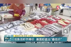 可以愉快的吃海鲜了！活鱼活虾齐降价 基围虾卖出“最低价”！视频封面
