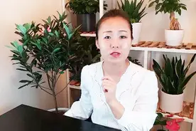 茶花那么难养吗？为什么人家养的花苞挂满了枝头？视频封面