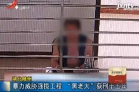 湖北随州：暴力威胁强揽工程 “黑老大”获刑十五年视频封面