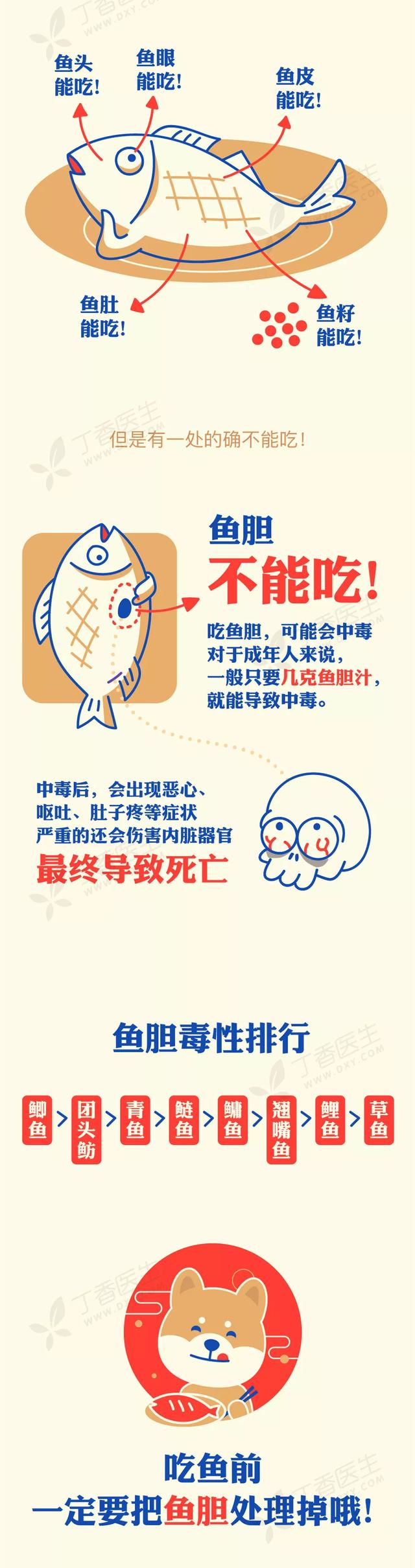 干花胶是什么 2026年干花胶是什么鱼做的
