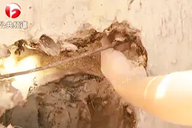 墙体内惊现锯末垃圾 业主担忧房屋质量视频封面