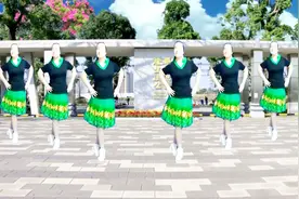 经久不衰的广场舞金曲《花蝴蝶》16步附分解教学视频封面