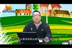 农技讲座：应县辣椒病虫害的识别与防治，上视频封面