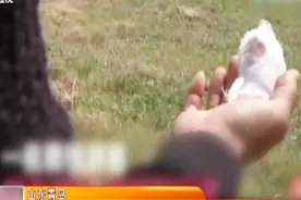 男子动物园内喂熊被咬掉手指，如今找动物园找说法视频封面