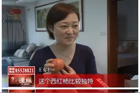 放了两个月的西红柿竟一点没烂 无锡市民怀疑有问题视频封面