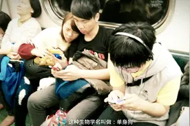 上海结婚率再次垫底，当地土著坦言：想脱单得先脱贫视频封面