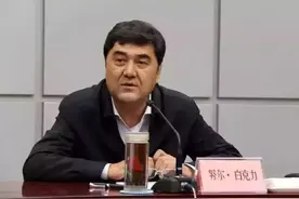 国家能源局局长努尔·白克力接受审查调查图片