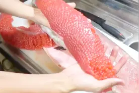 红鲑鱼满肚子的鱼子，看厨师是如何处理的视频封面