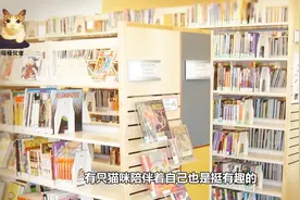 书店老板收留了一只流浪猫，没想到生意越来越好，原来是只招财猫视频封面