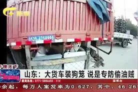 大货车装狗笼专防偷油贼，交警：涉嫌非法改装车辆，责令整改完成视频封面