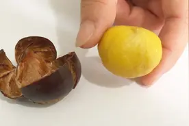 今天才知道，原来剥板栗还有这样的小窍门，一秒剥一个，太轻松了视频封面
