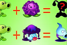 植物大战僵尸：豌豆炮手VS包菜紫，会变成什么威力的炮手？视频封面