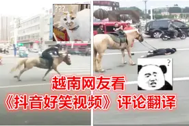 越南网友看抖音好笑视频评论翻译视频封面