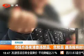 电子市场里的违禁品，电击棍几十元随便买视频封面