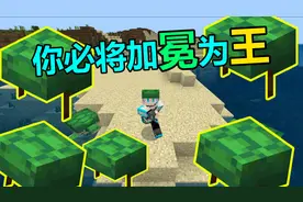 我的世界 Minecraft MC海洋版“海龟帽”的5个特性！