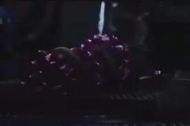 女子正在飞机上睡觉突然一条毒蛇钻进衣服里，下一秒悲剧了！视频封面