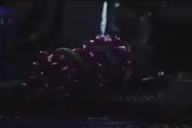 女子正在飞机上睡觉突然一条毒蛇钻进衣服里，下一秒悲剧了！视频封面