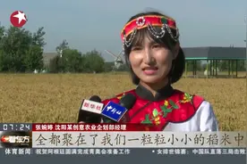 寻游水稻田里藏着“秘密”的童话世界 沈阳“稻梦空间”人气火爆视频封面