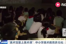“美术馆里上美术课” 中小学美术教育多元化视频封面