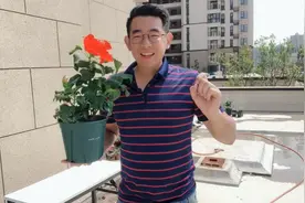 扶桑花开出了鲜艳的花朵，一木来分享喜悦视频封面
