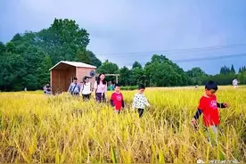 收藏！国庆来都江堰必打卡的10个点~最后一个都去过你就成了资格的灌县人！图片