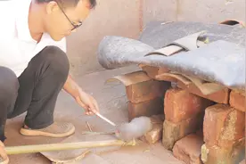 农村小伙想要靠养殖它发家致富，养大300元一只，你觉得可行吗？视频封面