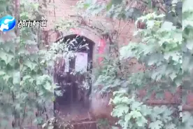 洛阳两小伙深信网红“探宝仪”能找宝，面对民警：我们只是探宝啊视频封面