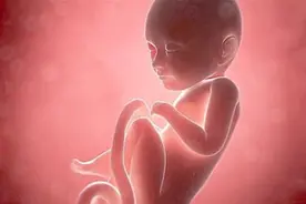 胎儿每天只会睡觉吗？宝宝还会在妈妈肚子里，“偷偷”做这3件事视频封面