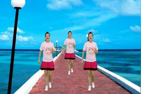 经典怀旧广场舞《东南西北风》简单入门步子舞附分解！视频封面