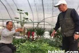 一花一草一世界，祖孙三代种花忙图片