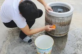 你每天用的洗衣机到底有多脏，大宁教你如何拆开清洗全自动洗衣机视频封面