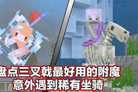 我的世界：盘点三叉戟的顶尖附魔，意外发现能水下呼吸的坐骑？视频封面