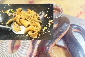 这食材很多人不敢吃？广东人却拿它当宝？椒盐最好吃，毕生难忘！视频封面
