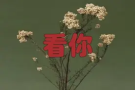 爆火歌曲《看你》，婉转动听，送给大家视频封面