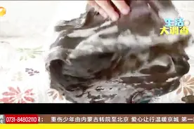 海带“长毛”？海带表面“白霜”非但无害 还有利人体健康视频封面