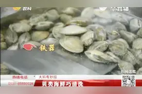 贝类海鲜泥沙多 教你如何巧清洗视频封面