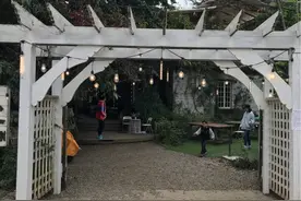 探店——三圣乡百花深处图片