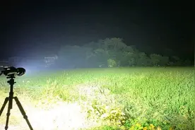 1000流明的强光电筒炮，打开后黑夜亮如白昼视频封面