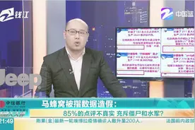 马蜂窝被指数据造假：85%的点评不真实，充斥僵尸和水军？视频封面