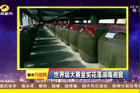 红钻·湘窖获颁2018年比利时布鲁塞尔国际烈酒大奖赛大金奖视频封面