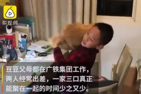 父母工作太忙，没时间看孩子，孩子只能与监控摄像头和猫作伴图片