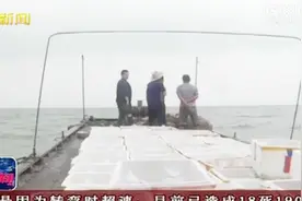 钦州：保护北部湾生物多样性 增殖放流中国鲎鱼五百多万尾视频封面