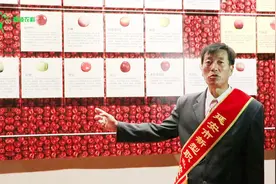 中国苹果第一村，70年种植历史，最全的苹果百科都在这里！视频封面
