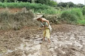 老农民倾情演唱《我想静静》一开口我有点醉了，很现实非常好听！视频封面