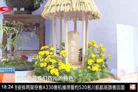 菊花展缤纷启幕，到成都人民公园赏花去视频封面