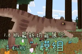 我的世界最新版新功能，添加自定义生物视频封面