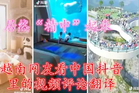 越南网友看《中国抖音里的视频》评论翻译（居然“精中”起来了）视频封面