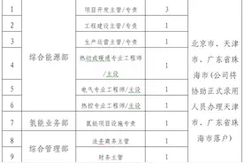 国家电投中国电力中电智慧综合能源有限公司招聘公告图片