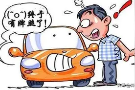 不懂这些新车被扣12分！这份临时号牌手册你要认真看！图片
