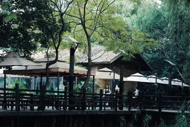 让城里人羡慕的农村，苏州太湖旁隐秘的小村庄，你想要的诗和远方图片